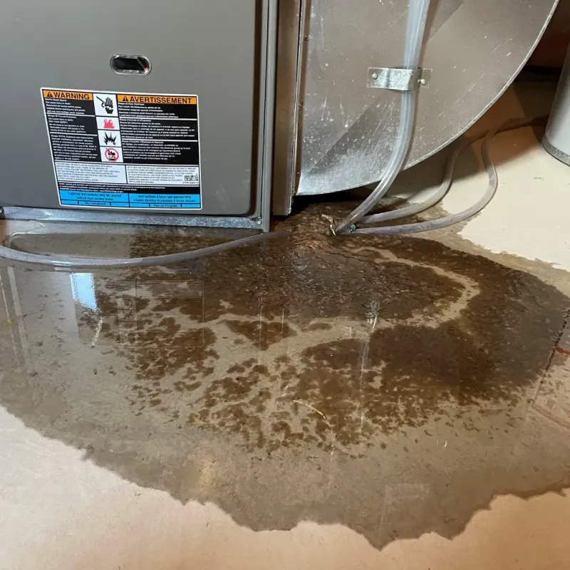 Appliance Leak Cleanup in Blowing Rock, NC